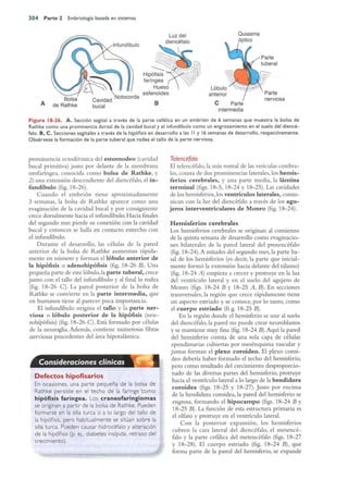 Langman.embriologia.medica.12ª