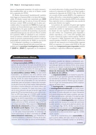 Langman.embriologia.medica.12ª