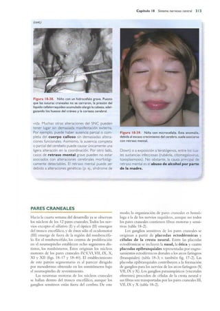 Langman.embriologia.medica.12ª