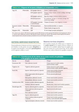 Langman.embriologia.medica.12ª