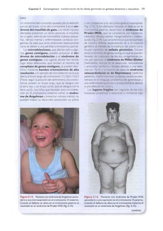 Langman.embriologia.medica.12ª