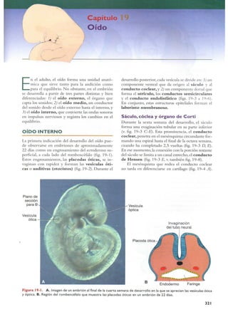 Langman.embriologia.medica.12ª