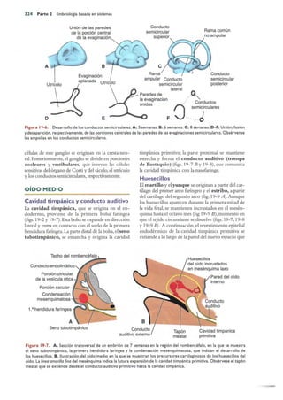Langman.embriologia.medica.12ª