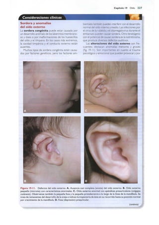 Langman.embriologia.medica.12ª