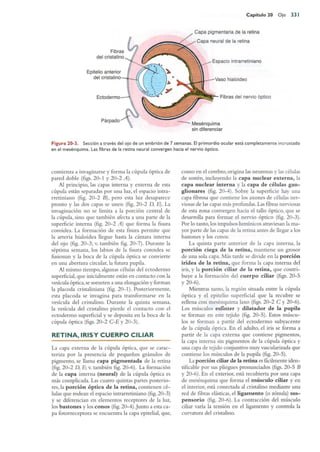 Langman.embriologia.medica.12ª