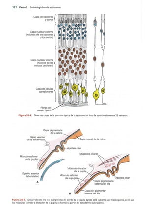 Langman.embriologia.medica.12ª