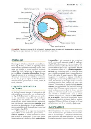 Langman.embriologia.medica.12ª