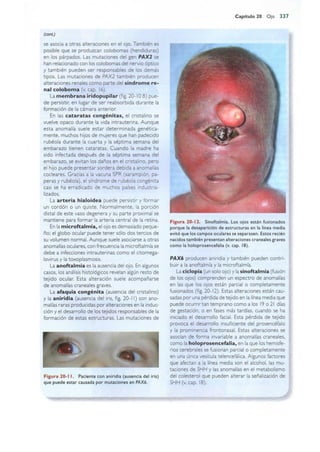 Langman.embriologia.medica.12ª