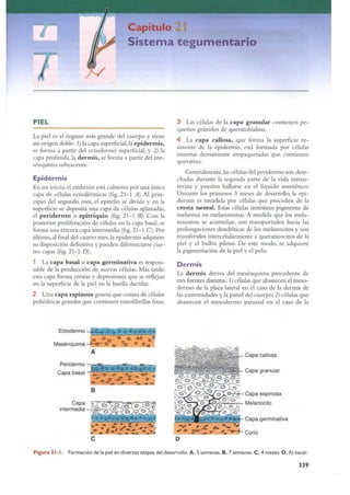 Langman.embriologia.medica.12ª
