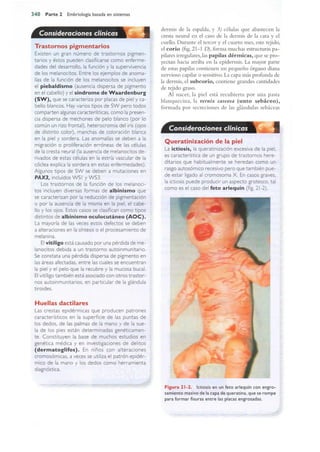 Langman.embriologia.medica.12ª