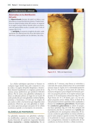 Langman.embriologia.medica.12ª