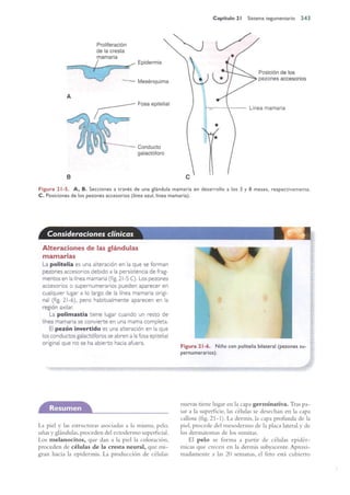 Langman.embriologia.medica.12ª