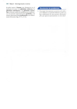 Langman.embriologia.medica.12ª