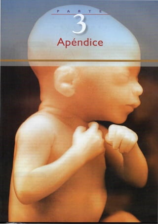 Langman.embriologia.medica.12ª