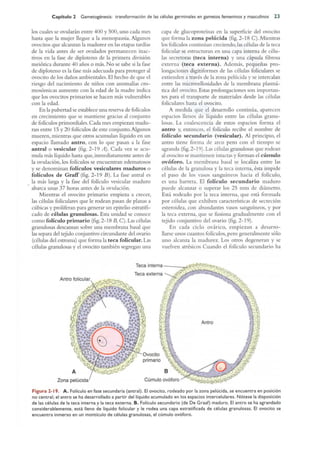 Langman.embriologia.medica.12ª