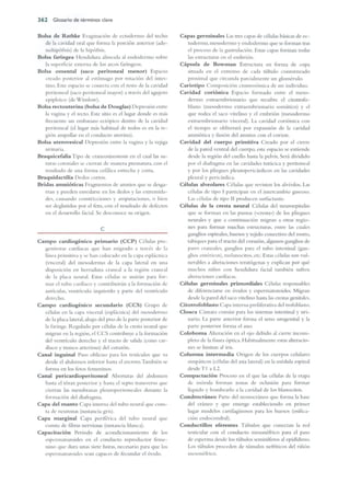 Langman.embriologia.medica.12ª