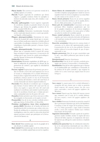 Langman.embriologia.medica.12ª