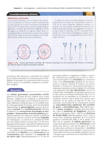 Langman.embriologia.medica.12ª