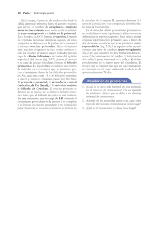 Langman.embriologia.medica.12ª