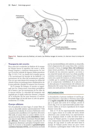 Langman.embriologia.medica.12ª