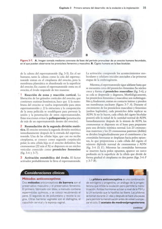 Langman.embriologia.medica.12ª