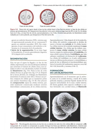 Langman.embriologia.medica.12ª