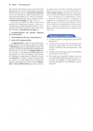 Langman.embriologia.medica.12ª