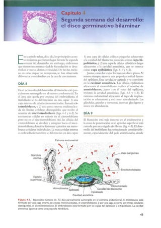 Langman.embriologia.medica.12ª
