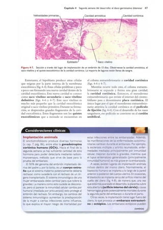 Langman.embriologia.medica.12ª