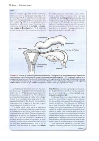 Langman.embriologia.medica.12ª