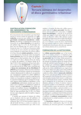 Langman.embriologia.medica.12ª