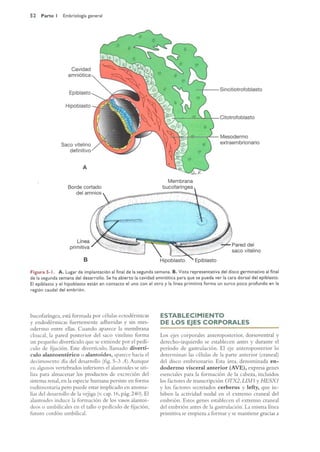 Langman.embriologia.medica.12ª