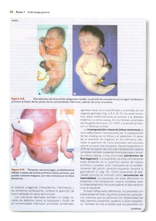 Langman.embriologia.medica.12ª