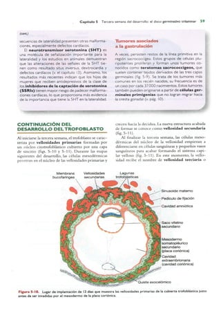 Langman.embriologia.medica.12ª