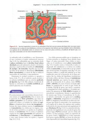 Langman.embriologia.medica.12ª