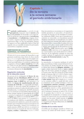 Langman.embriologia.medica.12ª