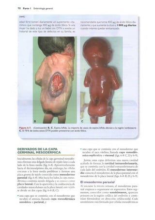 Langman.embriologia.medica.12ª