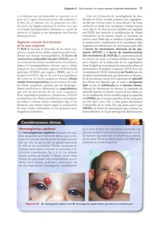 Langman.embriologia.medica.12ª