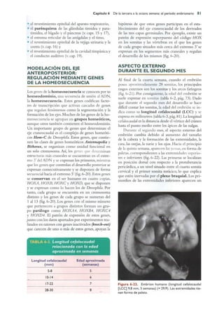 Langman.embriologia.medica.12ª
