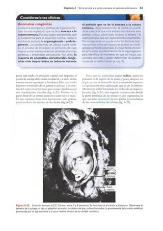 Langman.embriologia.medica.12ª