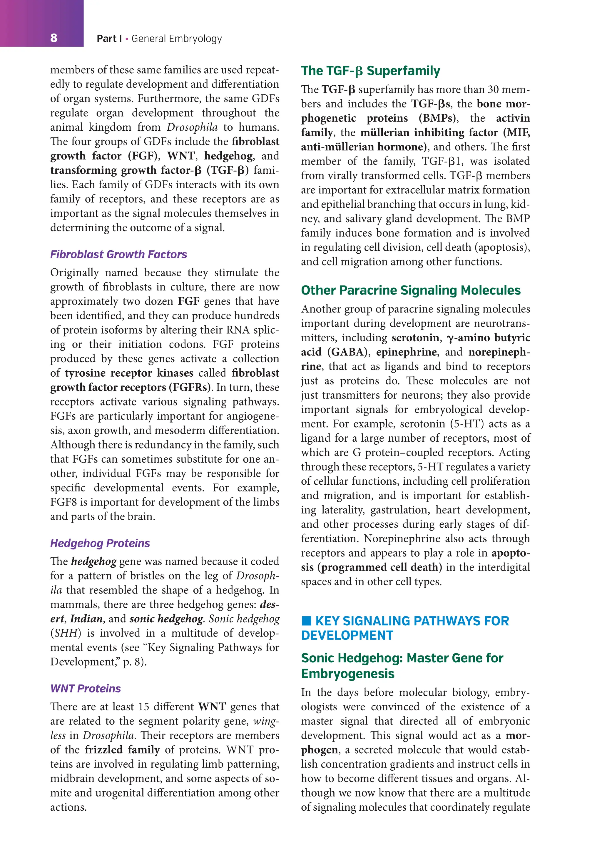 Langman's Medical Embryology 14th Ed.pdf