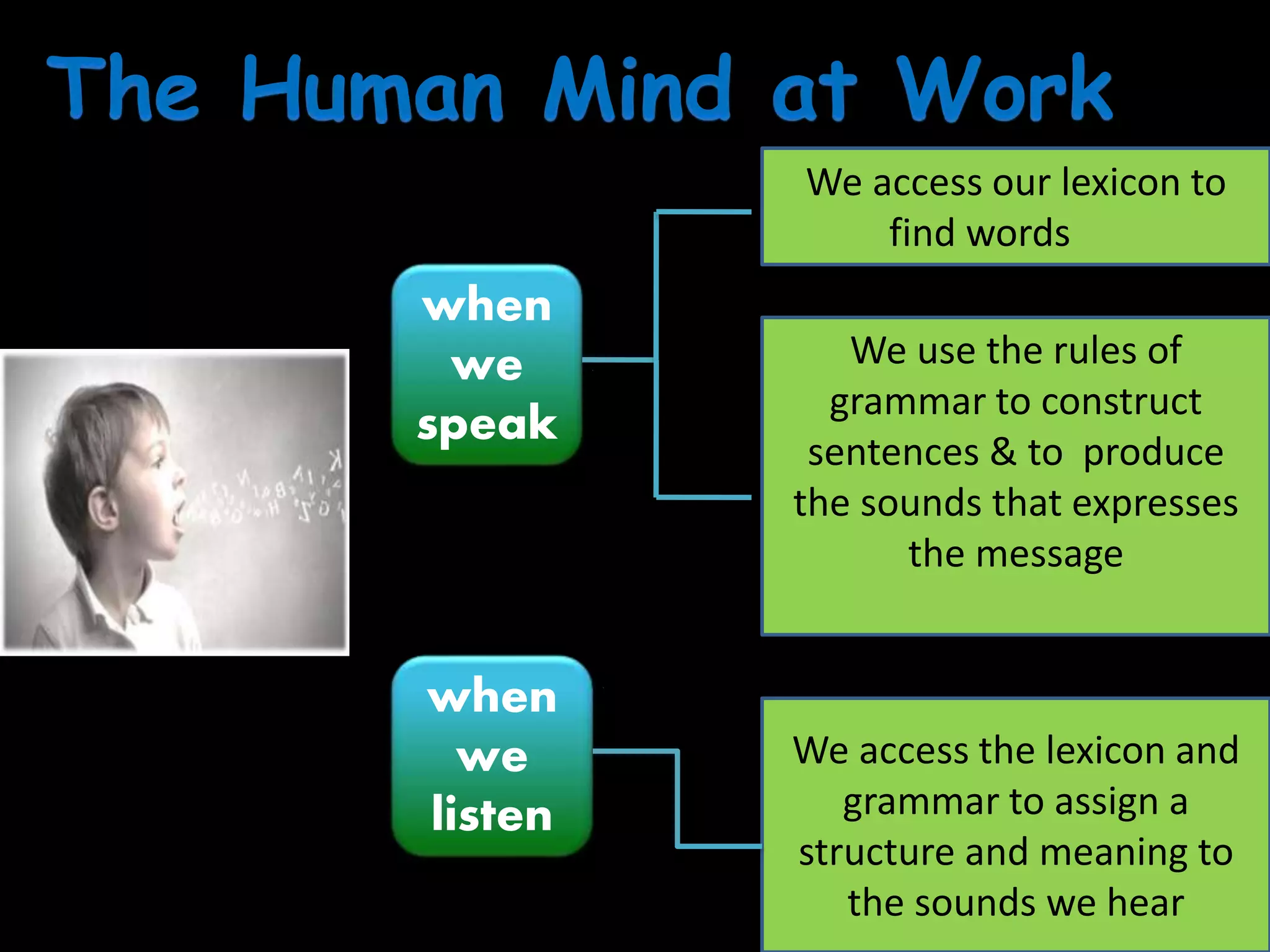 when
we
speak
when
we
listen
We access the lexicon and
grammar to assign a
structure and meaning to
the sounds we hear
We access our lexicon to
find words
We use the rules of
grammar to construct
sentences & to produce
the sounds that expresses
the message
 