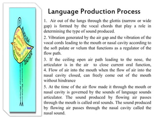 Production and Comprehension Process of Language | PPTX