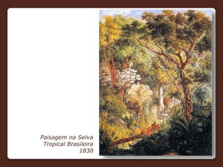 Paisagem na Selva
Tropical Brasileira
1830
 