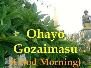 Ohayo
Gozaimasu
(Good Morning)
 