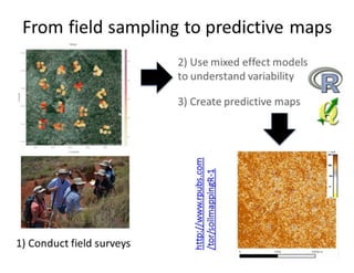 Lang Soil carbon: Land Degradation Surveillance Framework