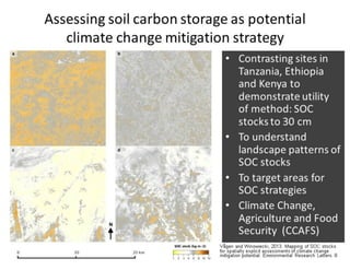 Lang Soil carbon: Land Degradation Surveillance Framework