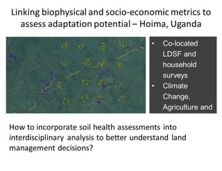 Lang Soil carbon: Land Degradation Surveillance Framework