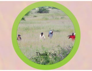 Lang Soil carbon: Land Degradation Surveillance Framework