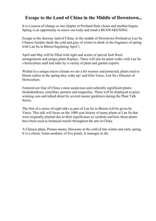 Escape to the Land of China in the Middle of Downtown...
It is a season of change as one chapter at Portland State closes and another begins.
Spring is an opportunity to renew our body and mind a REAWAKENING.
Escape to the faraway land of China, in the middle of Downtown Portland as Lan Su
Chinese Garden sheds the cold and gray of winter to drink in the fragrance of spring
with Lan Su in Bloom beginning April 1.
April and May will be filled with sight and scents of special lush floral
arrangements and unique plant displays. There will also be plant walks with Lan Su
s horticulture staff and talks by a variety of plant and garden experts.
Walled in a unique micro climate we are a bit warmer and protected, plants tend to
bloom earlier in the spring they wake up! said Glin Varco, Lan Su s Director of
Horticulture.
Featured are four of China s most auspicious and culturally significant plants:
rhododendrons, camellias, peonies and magnolias. These will be displayed as prize
winning cuts and talked about by several master gardeners during the Plant Talk
Series.
The first of a series of eight talks as part of Lan Su in Bloom will be given by
Varco. This talk will focus on the 1000 year history of many plants at Lan Su that
were originally planted due to their significance as symbols and how those plants
have been used as botanical motifs throughout the arts in China.
A Chinese plum, Prunus mume, blossoms in the cold of late winter and early spring.
It is a classic Asian aesthetic of five petals. It manages in the
 